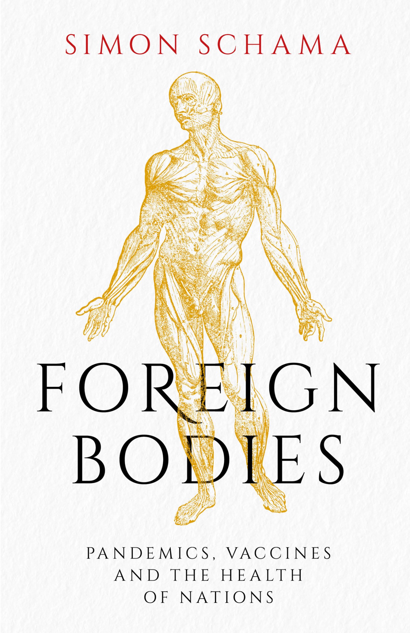 Foreign Bodies - Simon Schama
